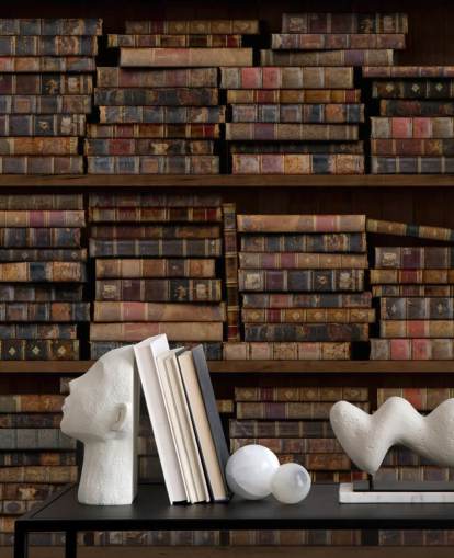 Papier Peint Fresque Livres sur étagères Poussiéreux