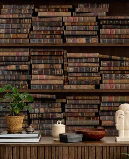 Dusty Books on Shelves Wall Mural Dusty Books on Shelves Wall Mural