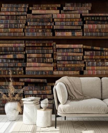 Mural de pared Libros polvorientos en estantes