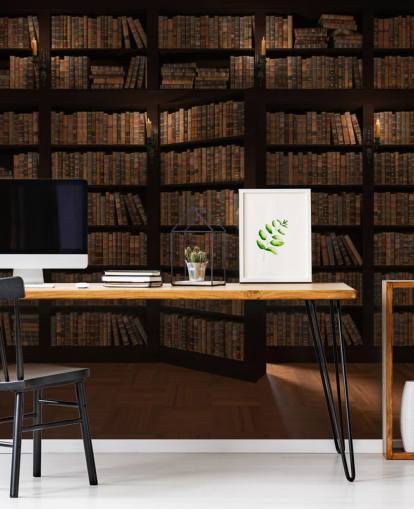 Opening Bookshelf Door Wallpaper