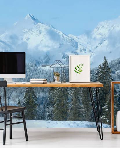 Fondo de pantalla de Snowy Mountain