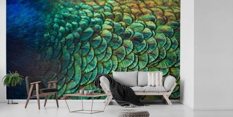 Animal Print Wallpaper & Feather Wallpaper