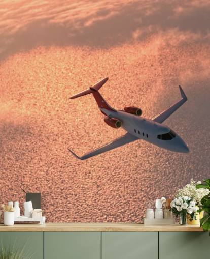 Plane Over Sunset Ocean Wallpaper Mural