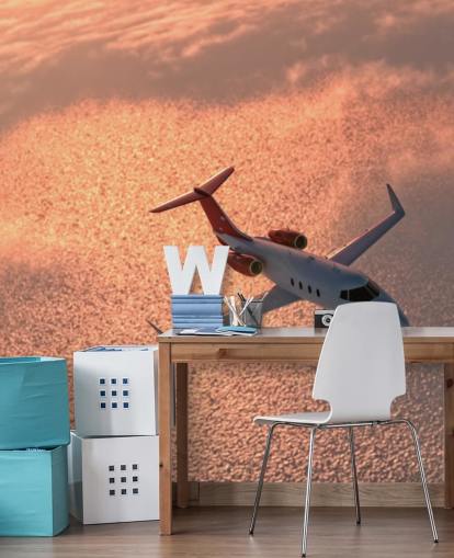 Flyet Over Solnedgang Ocean Baggrund Mural Flyet Over Solnedgang Ocean Baggrund Mural