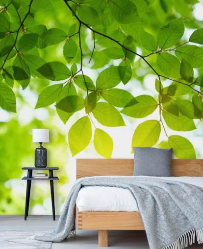 Papier peint Green Leaves Papier peint Green Leaves