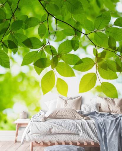 Green Leaves Wallpaper