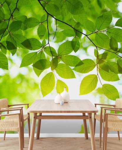 Green Leaves Wallpaper