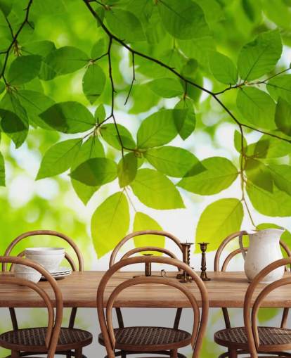 Green Leaves Wallpaper