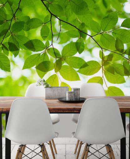 Papel de parede folhas verdes