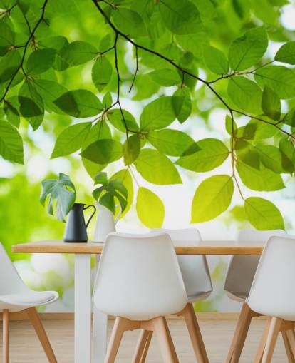 Green Leaves Wallpaper Green Leaves Wallpaper