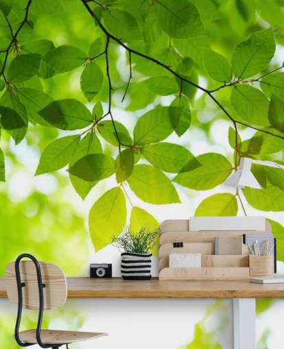 Papier peint Green Leaves