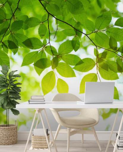 Green Leaves Wallpaper Green Leaves Wallpaper