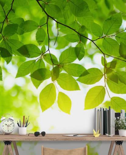 Papel de parede folhas verdes