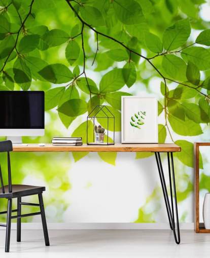 Green Leaves Wallpaper