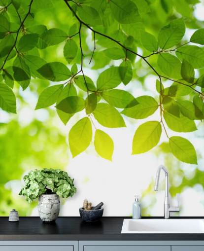 Green Leaves Wallpaper