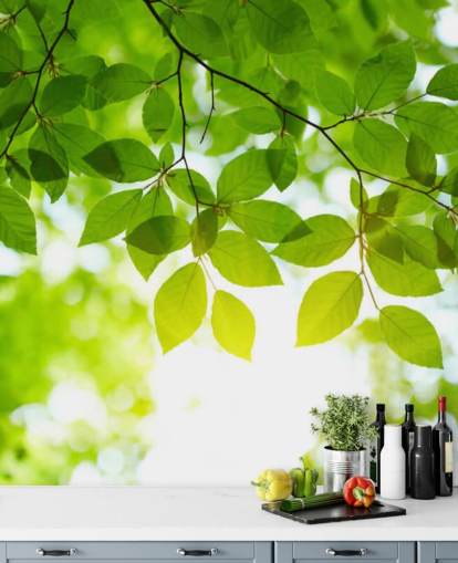 Green Leaves Wallpaper