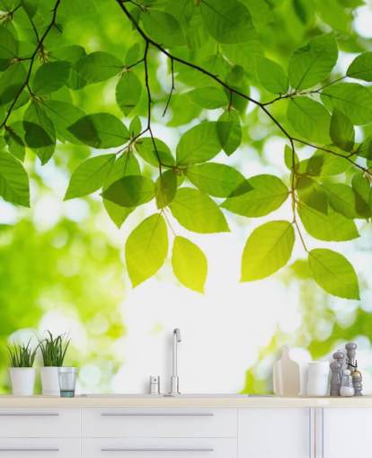 Papel Pintado Hojas Verdes