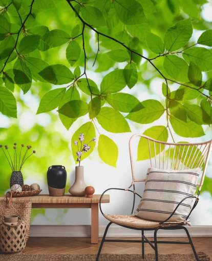 Green Leaves Wallpaper Green Leaves Wallpaper