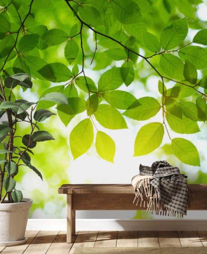 Papel de parede folhas verdes