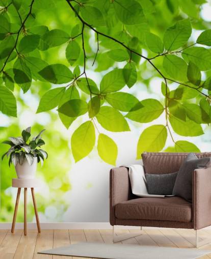 Green Leaves behang Green Leaves behang