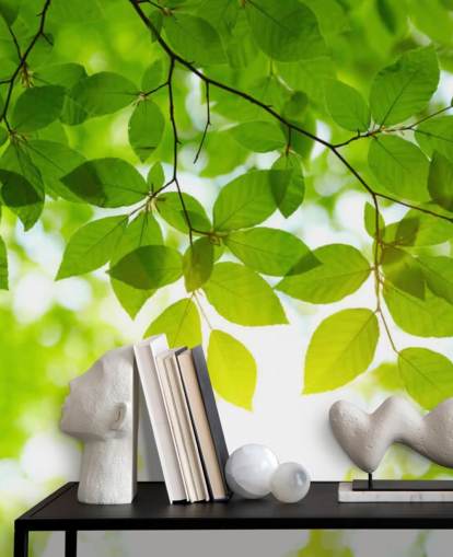 Green Leaves Wallpaper