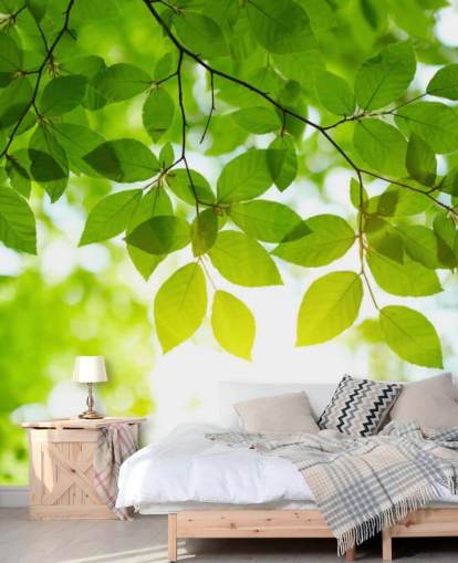 Papel Pintado Hojas Verdes