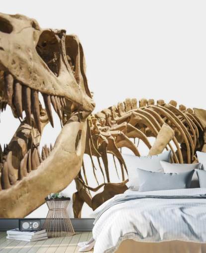 T Rex skjelett Bakgrunn