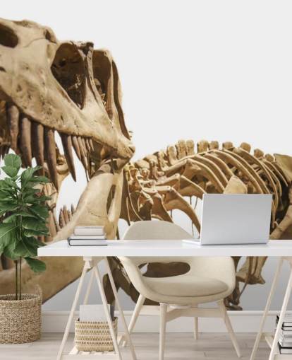 T Rex Skelett Tapete T Rex Skelett Tapete