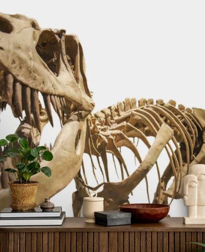 T Rex Skeleton Wallpaper T Rex Skeleton Wallpaper