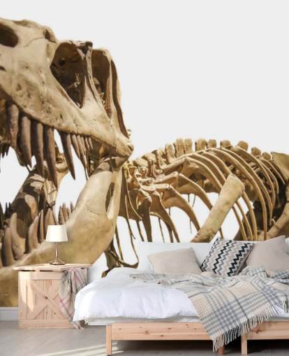 Fondo de pantalla de esqueleto t rex