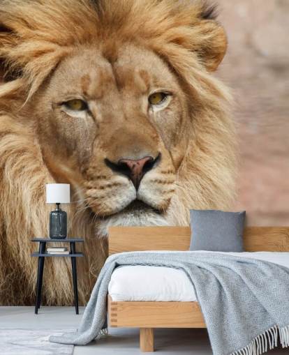 Lion Thinking Wallpaper