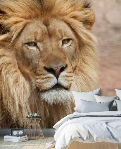 Lion Thinking Wallpaper