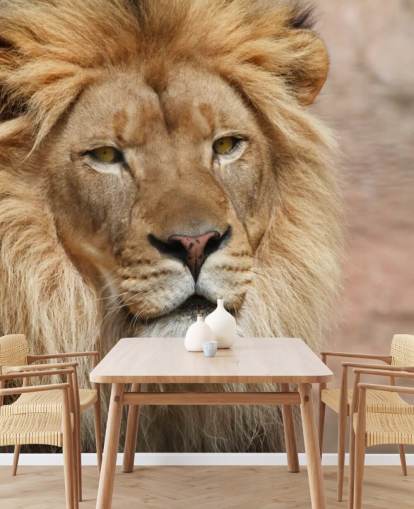 Lion Thinking Wallpaper