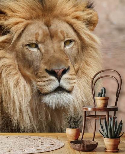 Lion tänkande tapeter Lion tänkande tapeter