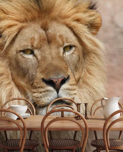 Lion Thinking fondo