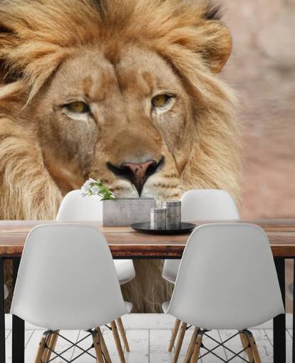 Lion Thinking fondo