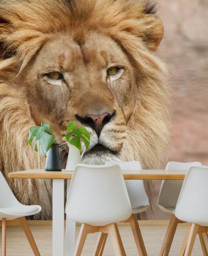 Lion ajattelu taustakuva