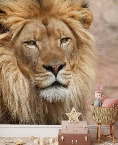 Lion Thinking Wallpaper