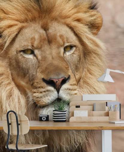 Lion Thinking fondo Lion Thinking fondo