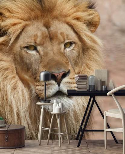 Lion tänkande tapeter