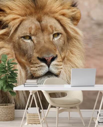 Lion Thinking Wallpaper