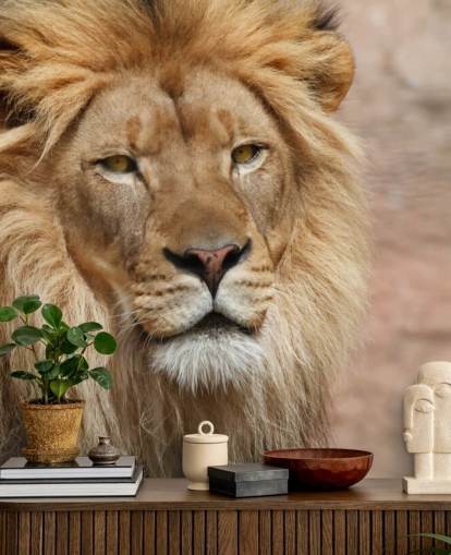 Lion Thinking Wallpaper Lion Thinking Wallpaper