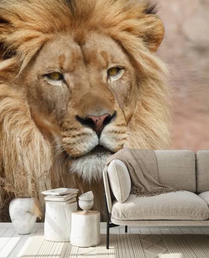 Lion Thinking fondo