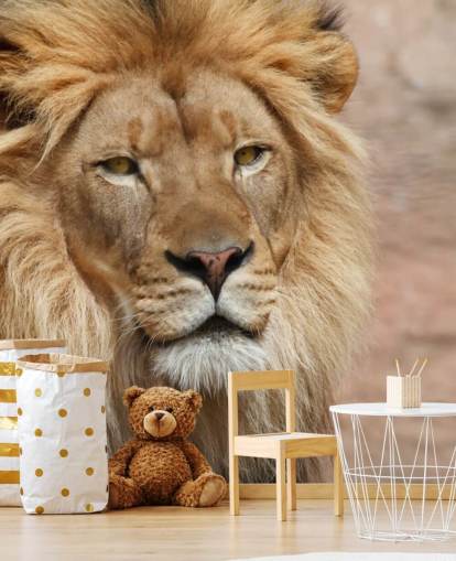 Papier peint Lion Thinking Papier peint Lion Thinking