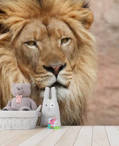 Lion Thinking Wallpaper