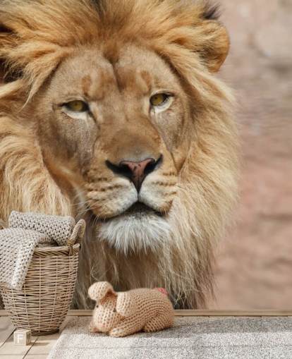 Lion Thinking behang