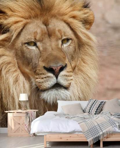 Lion Thinking Wallpaper