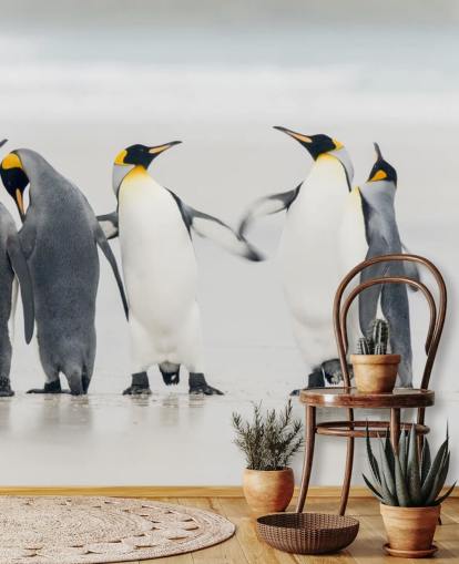 Dancing Penguins Wallpaper Dancing Penguins Wallpaper