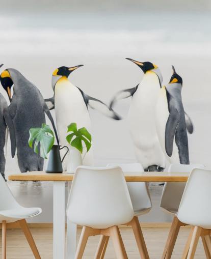 Dancing Penguins Wallpaper