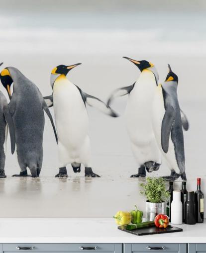 Fondo de pantalla Dancing Penguins Fondo de pantalla Dancing Penguins